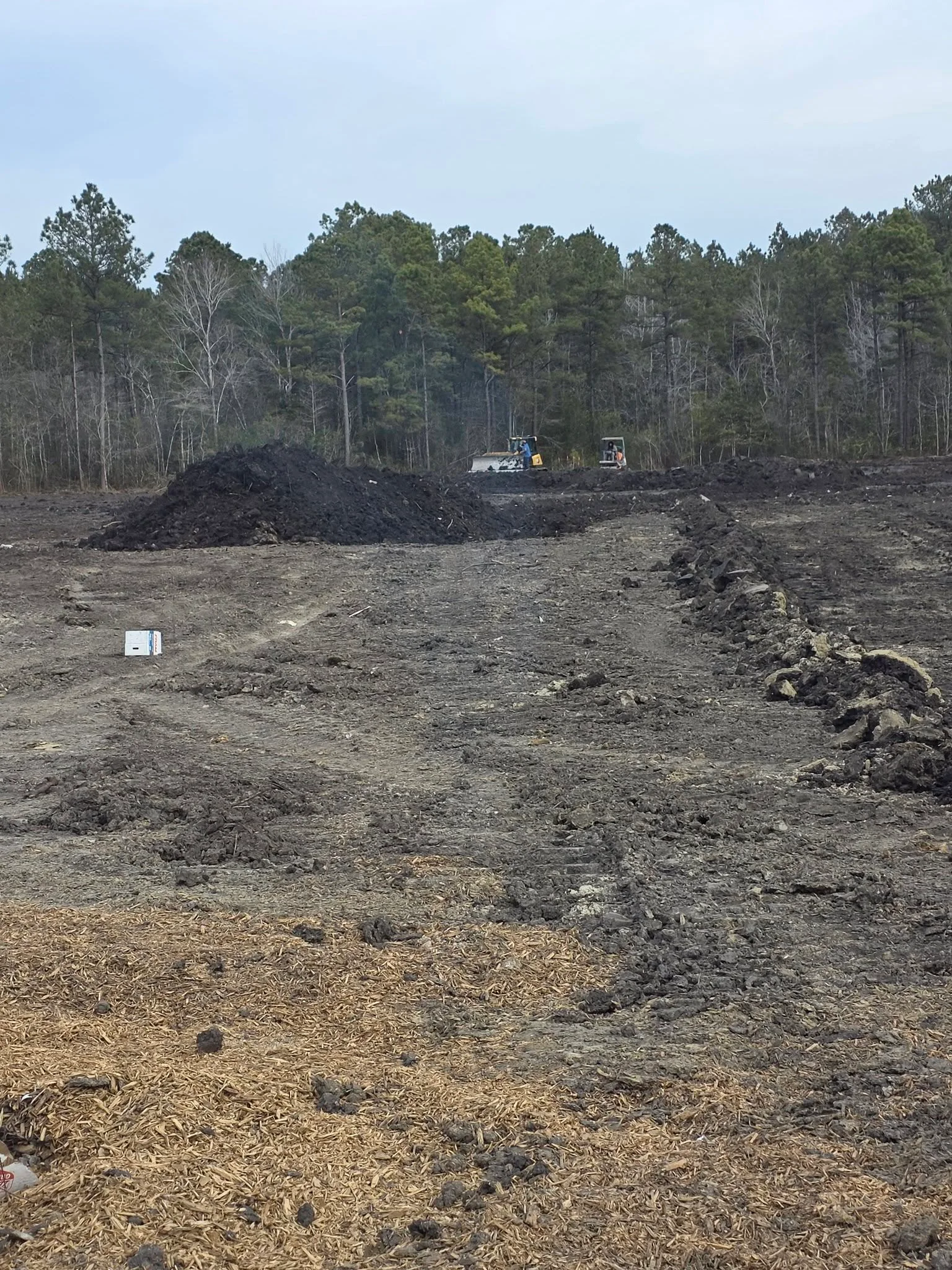 Cleared land with equipment, tree debris piles, and forest backdrop